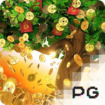 NG28app